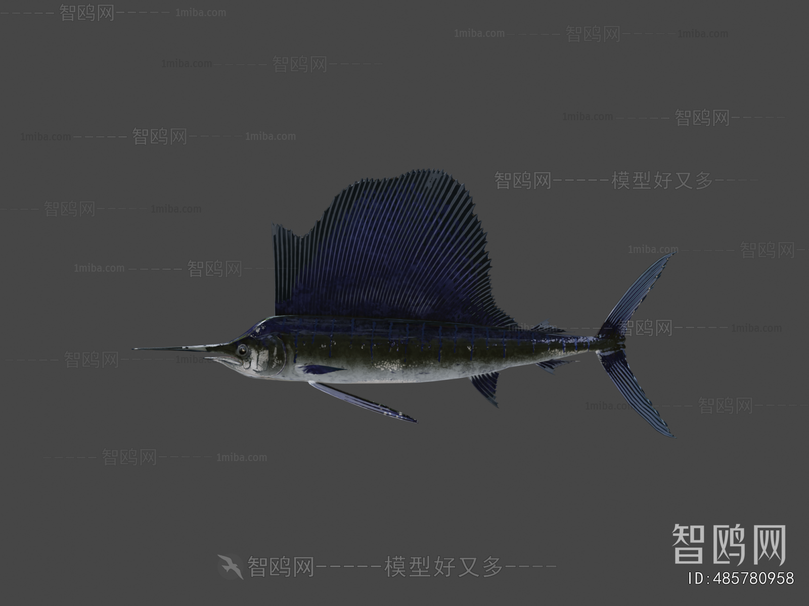 Modern Aquatic Animals