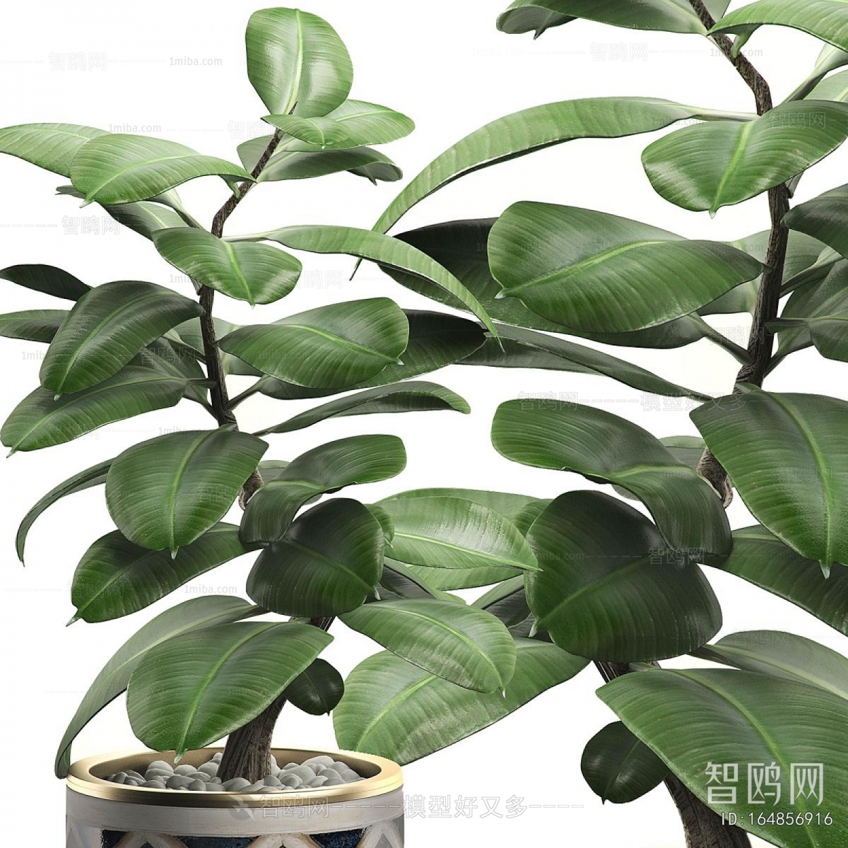 Modern Ground Green Plant Potted Plants
