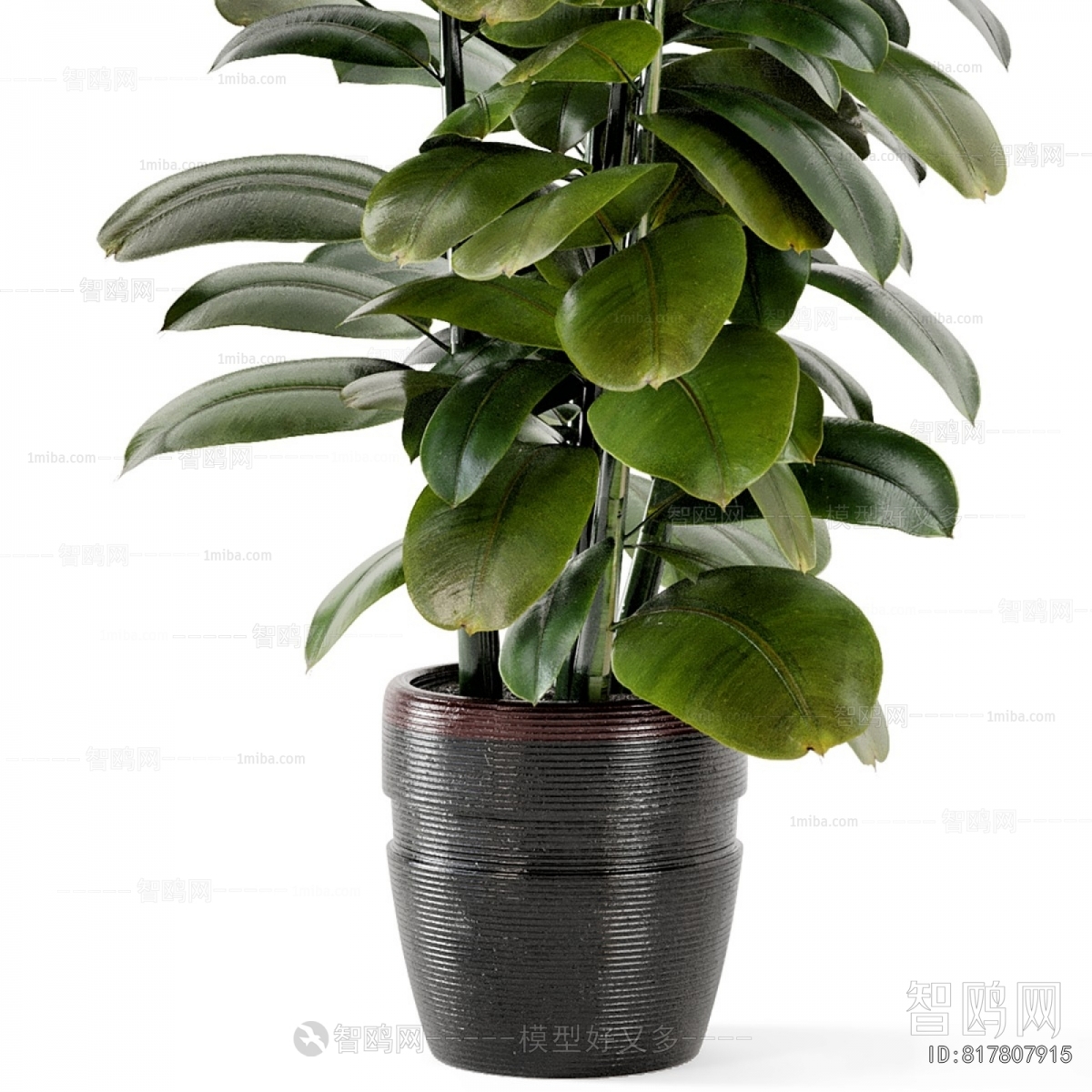 Modern Ground Green Plant Potted Plants