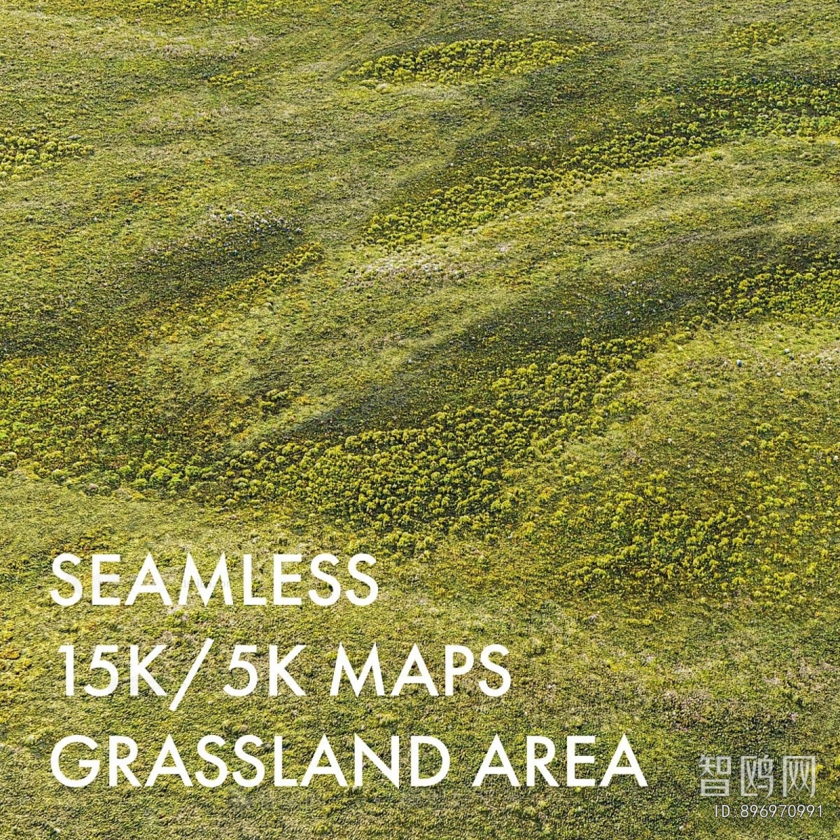 Modern Flowers And Grass