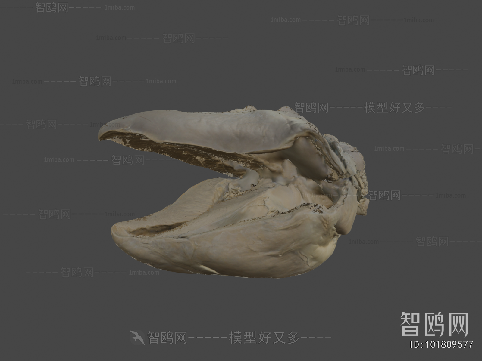 Modern Medical Equipment