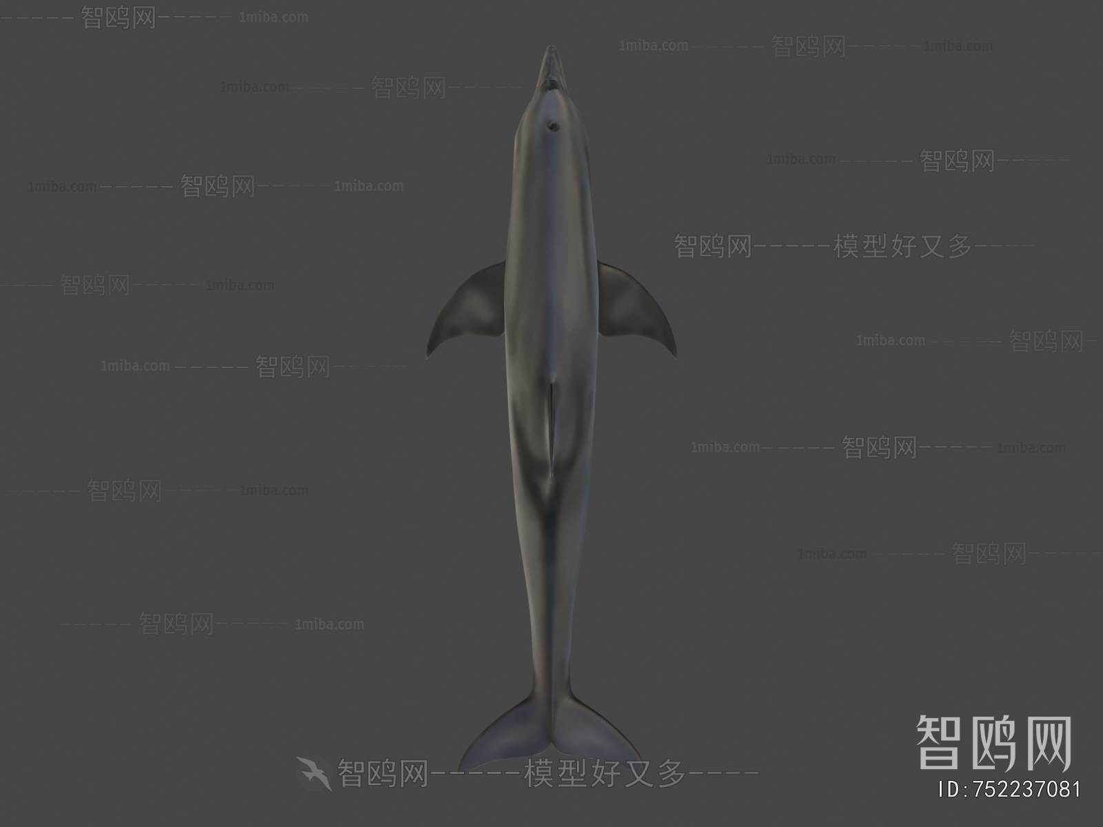 Modern Aquatic Animals