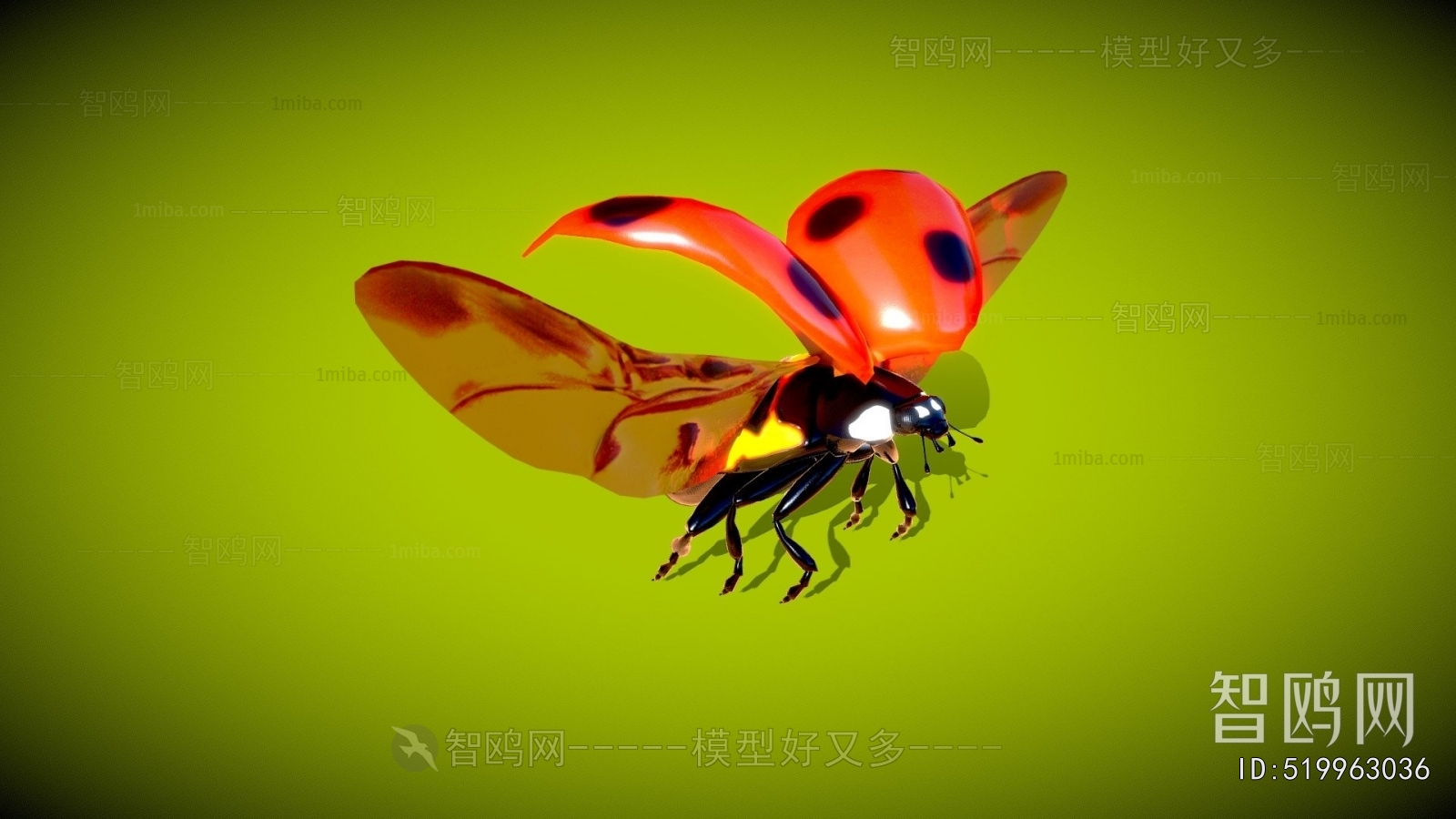 Modern Flying Animals