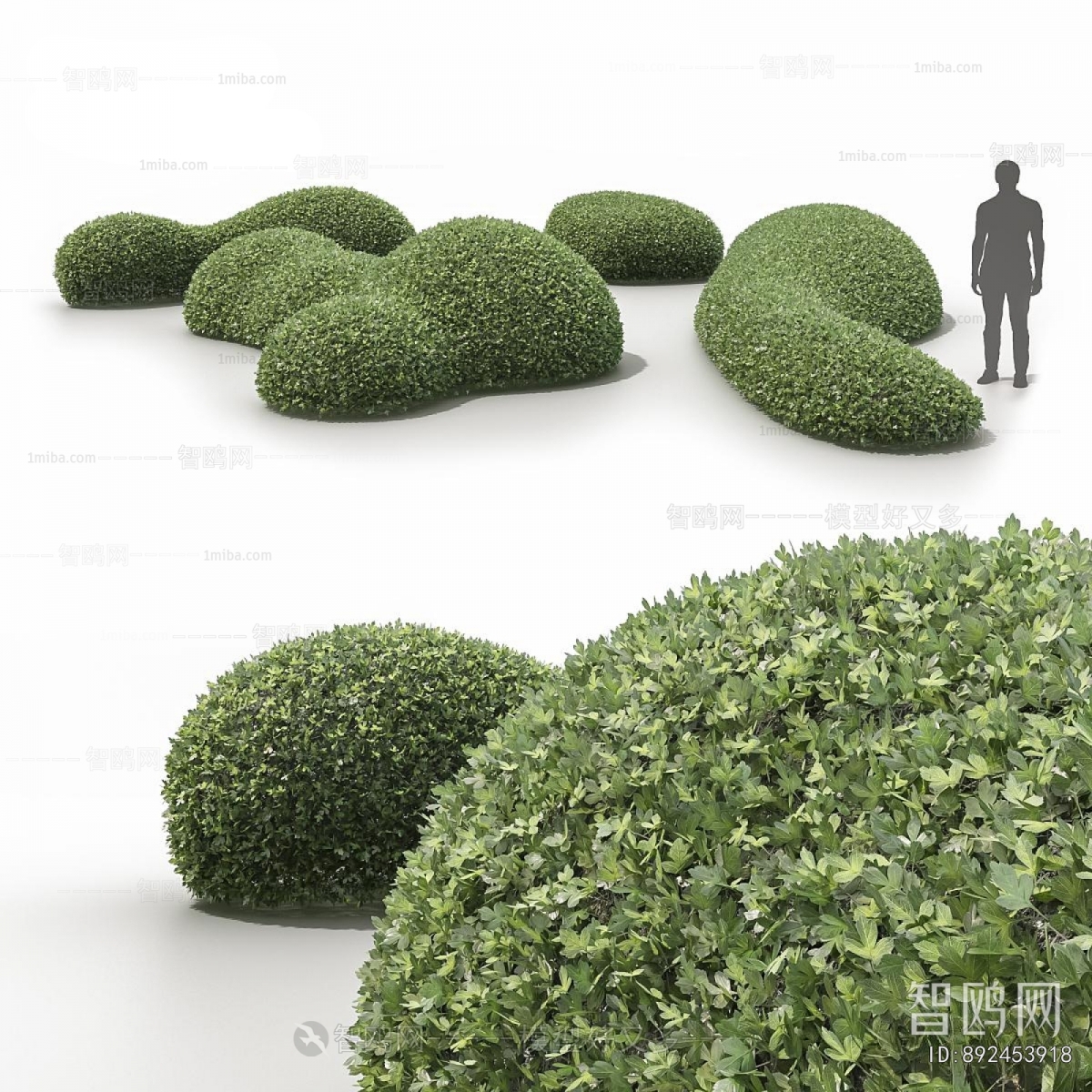 Modern Shrubbery