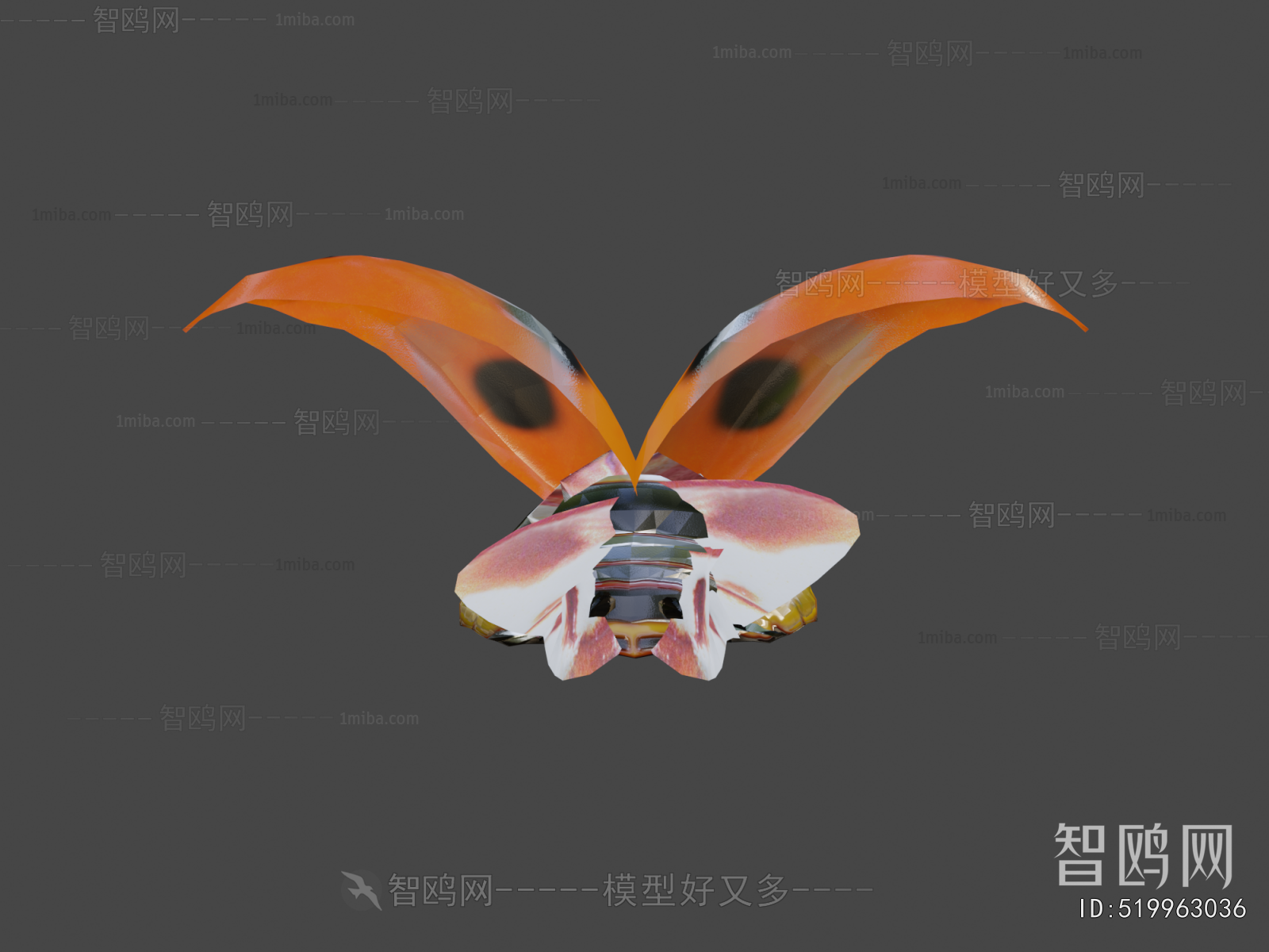 Modern Flying Animals