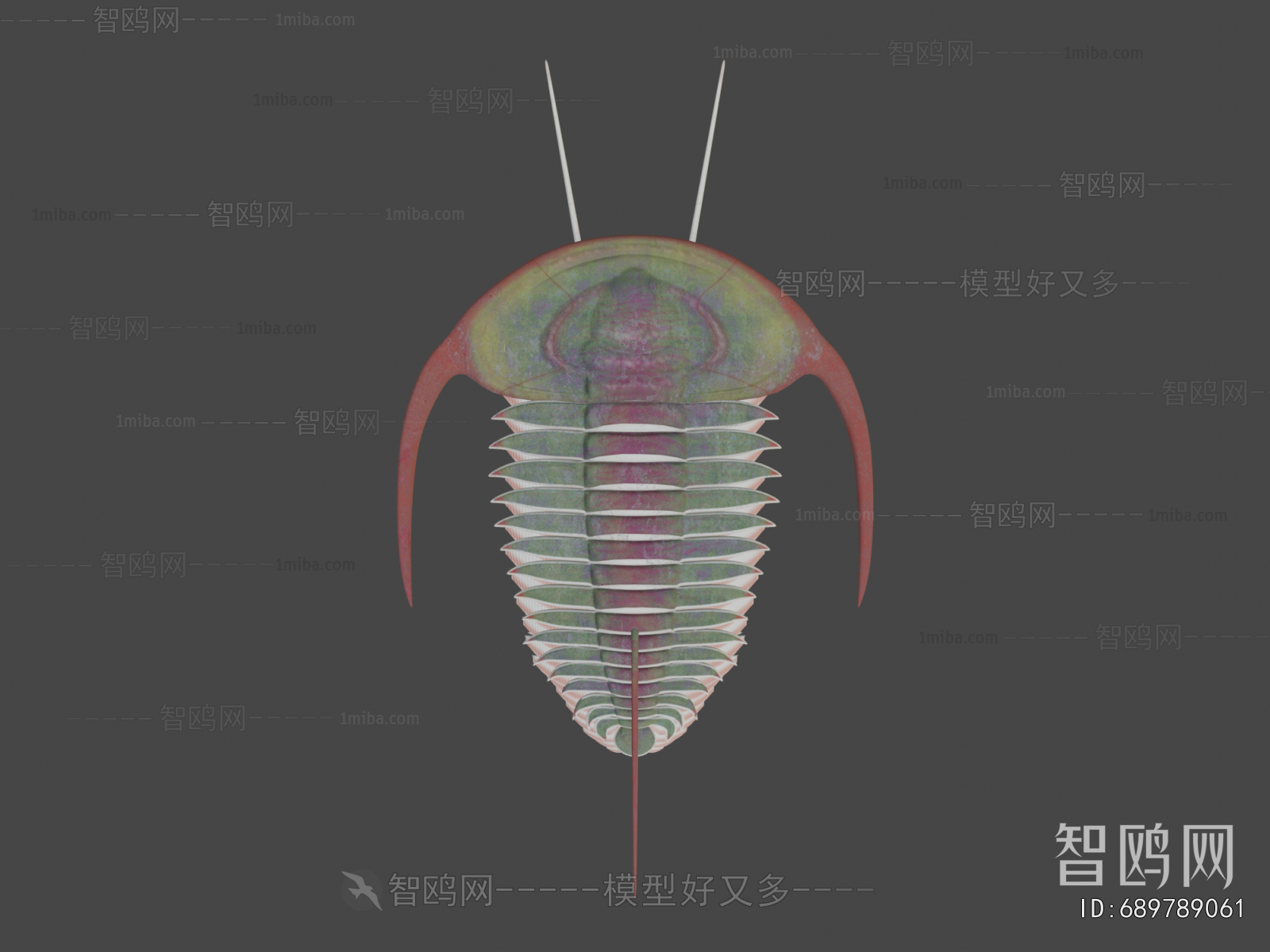 Modern Aquatic Animals