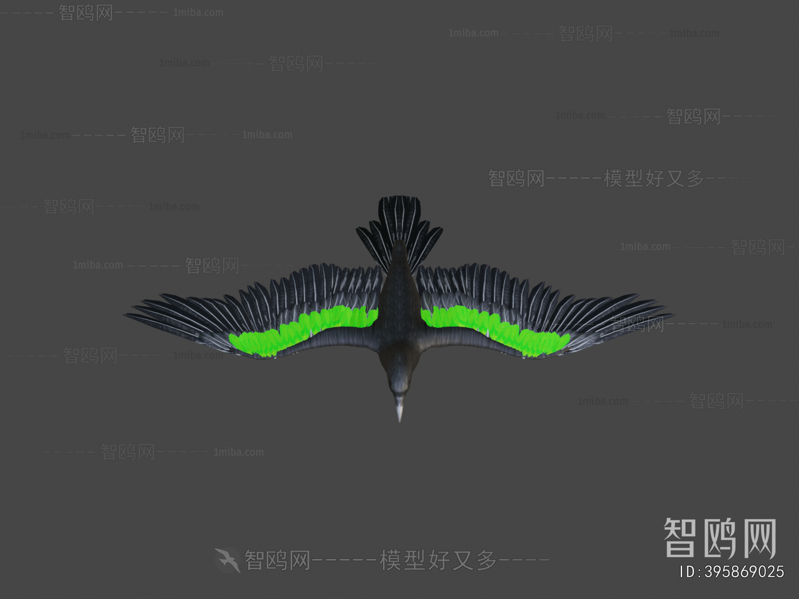 Modern Flying Animals