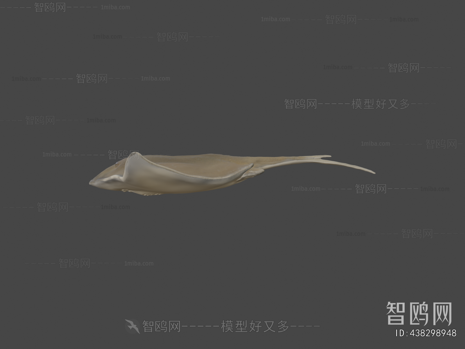 Modern Aquatic Animals