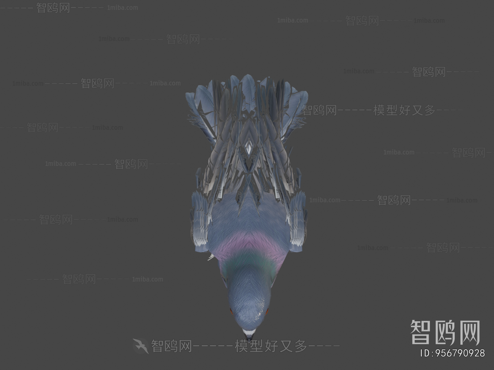 Modern Flying Animals