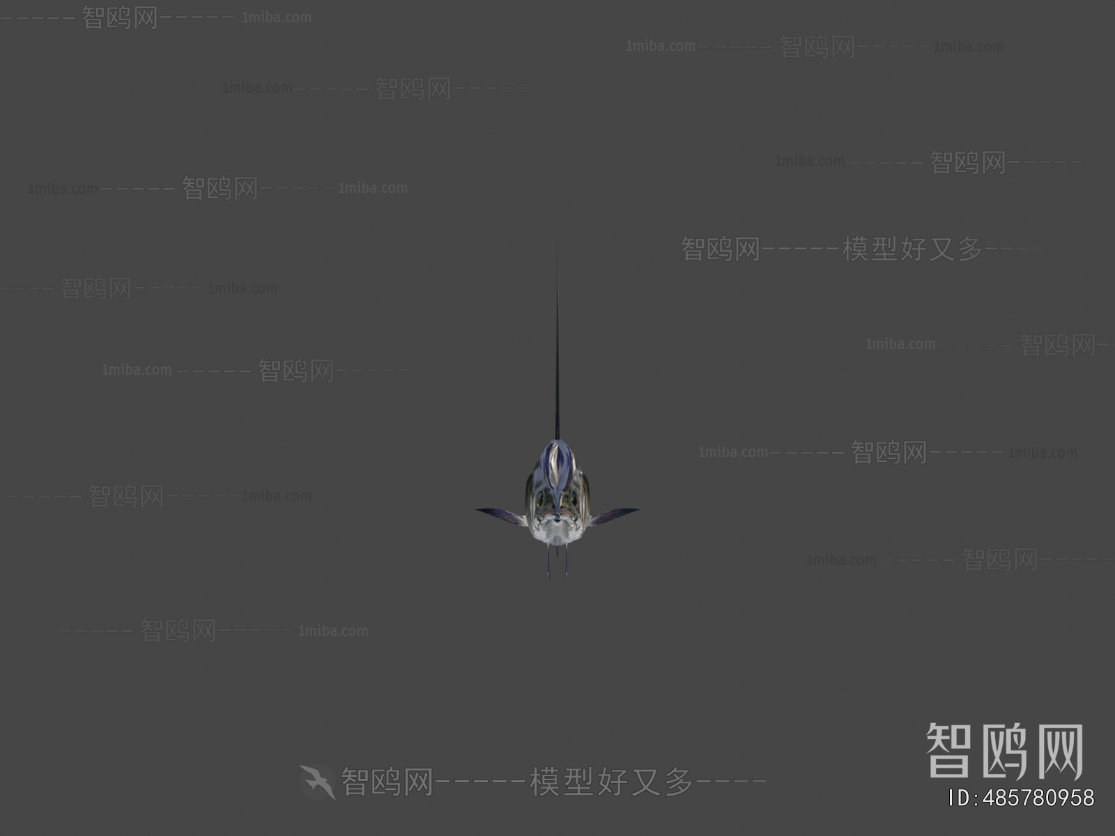 Modern Aquatic Animals