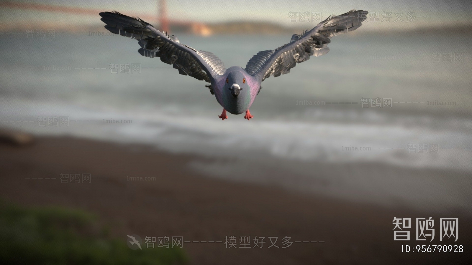 Modern Flying Animals