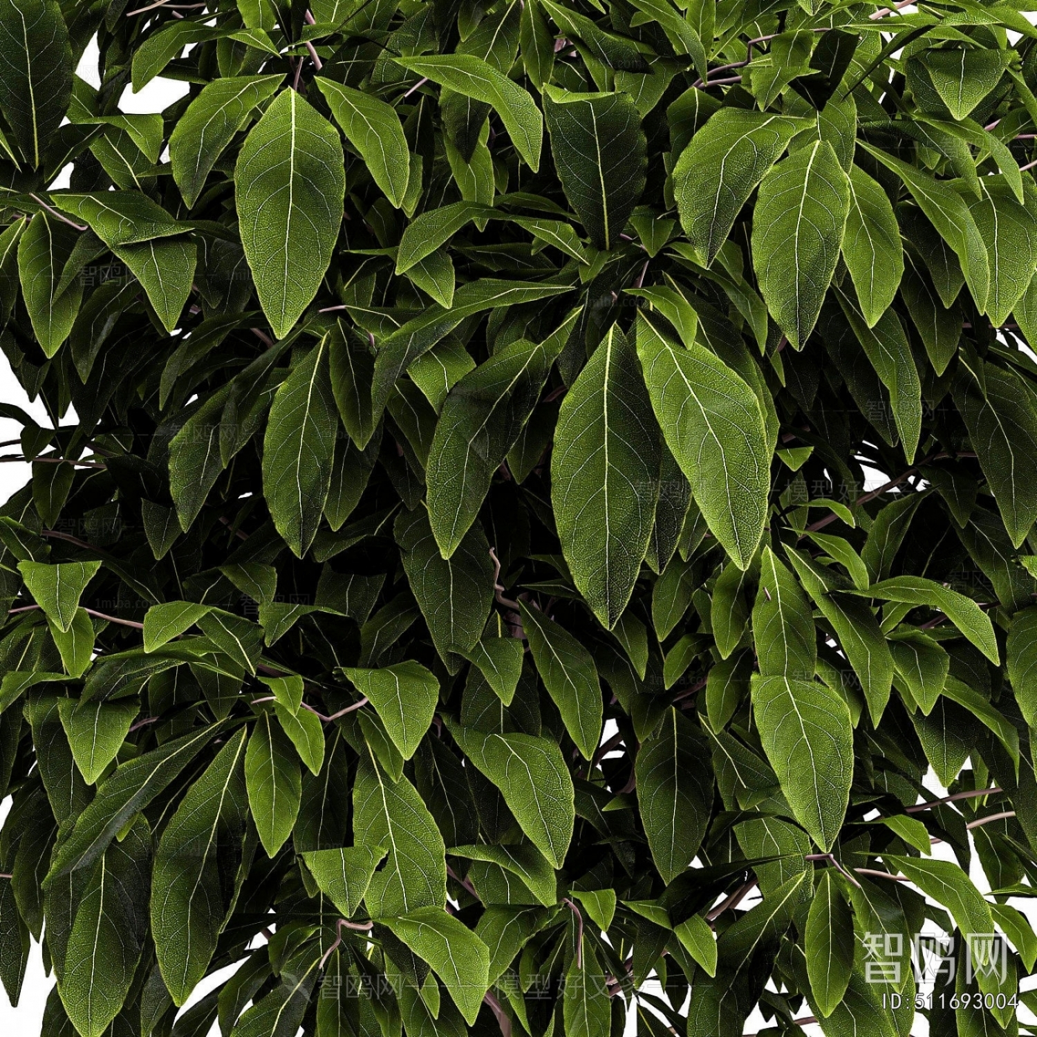 Modern Ground Green Plant Potted Plants