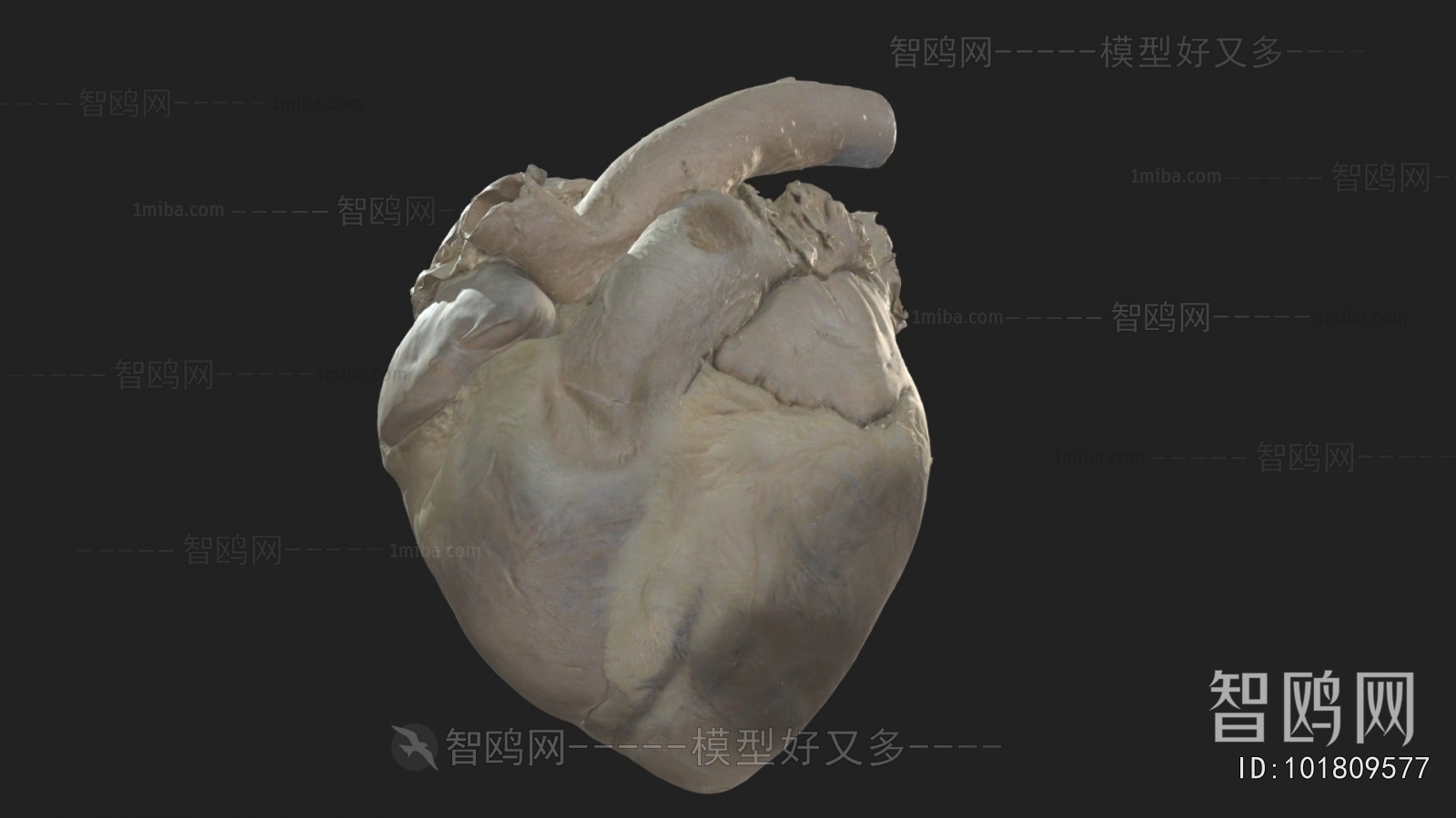 Modern Medical Equipment