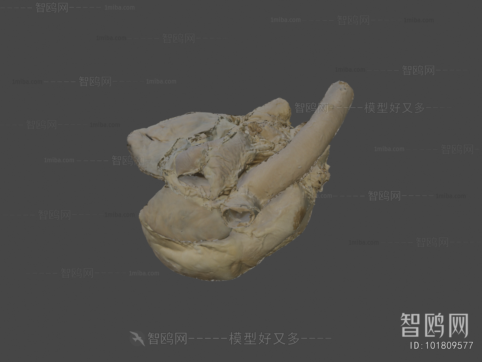 Modern Medical Equipment