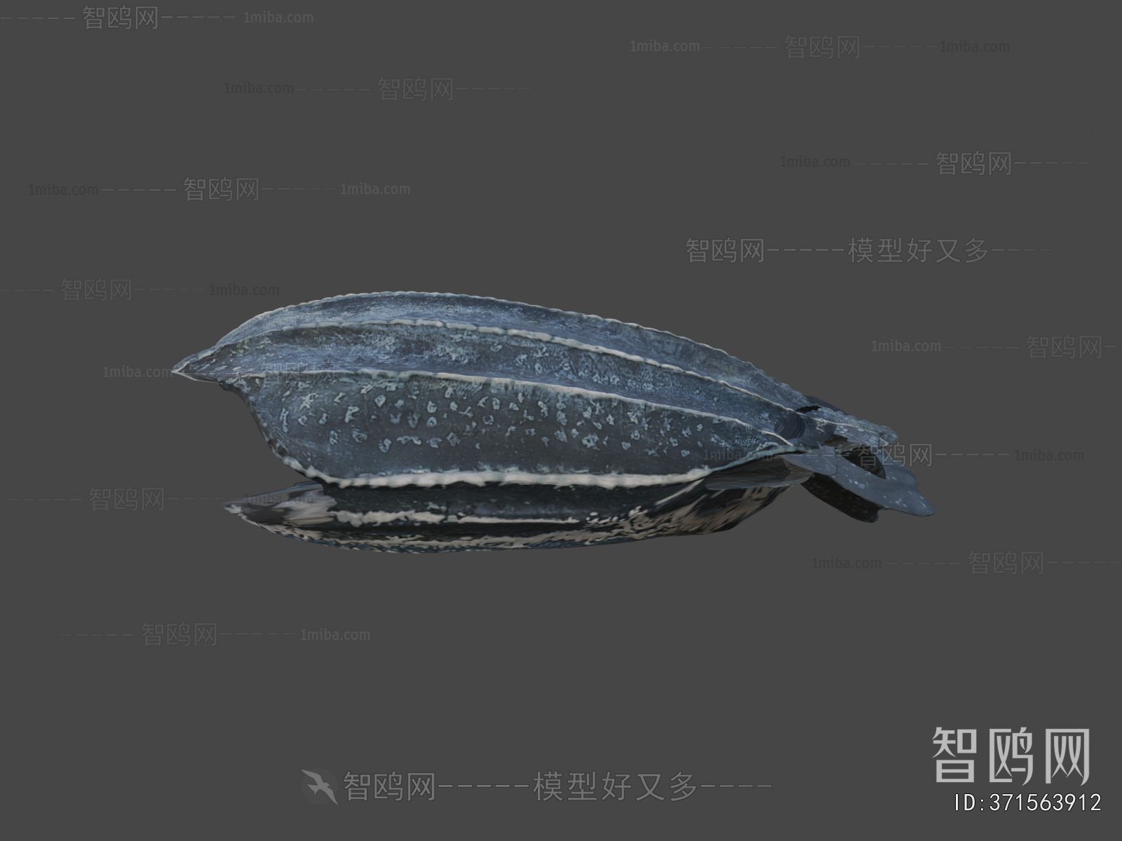 Modern Aquatic Animals