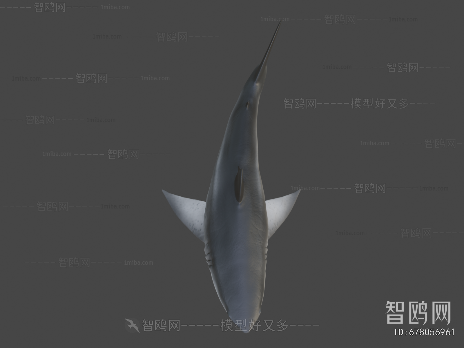 Modern Aquatic Animals