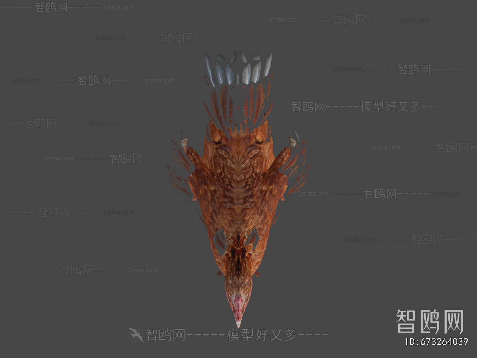 Modern Poultry Animal