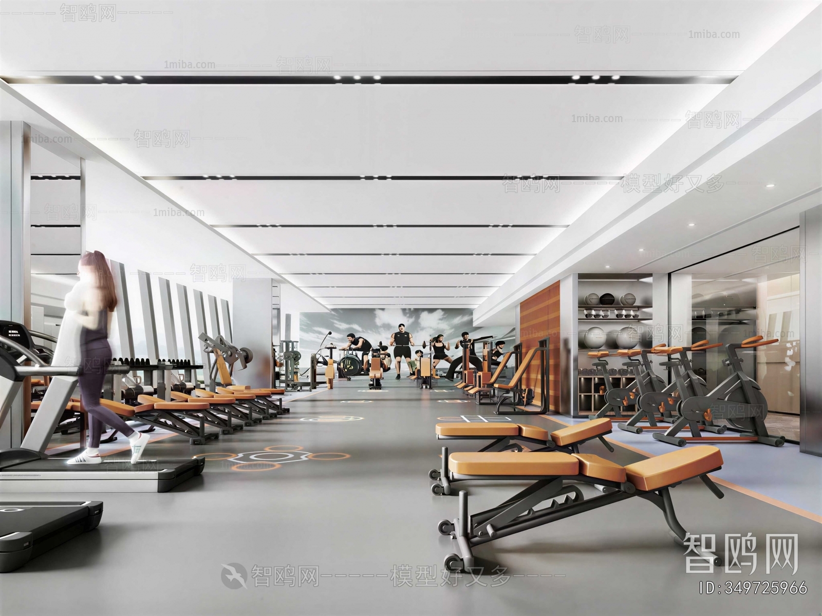 Modern Gym