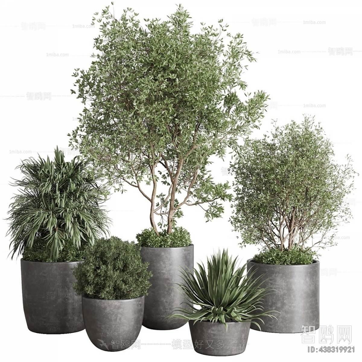 Modern Ground Green Plant Potted Plants
