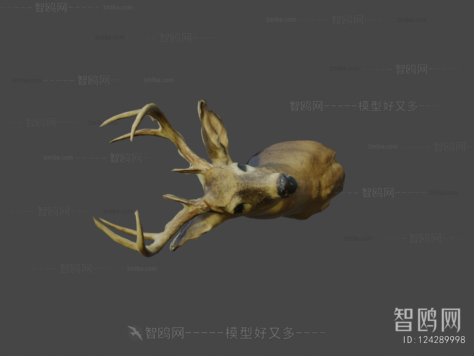 Modern Animal