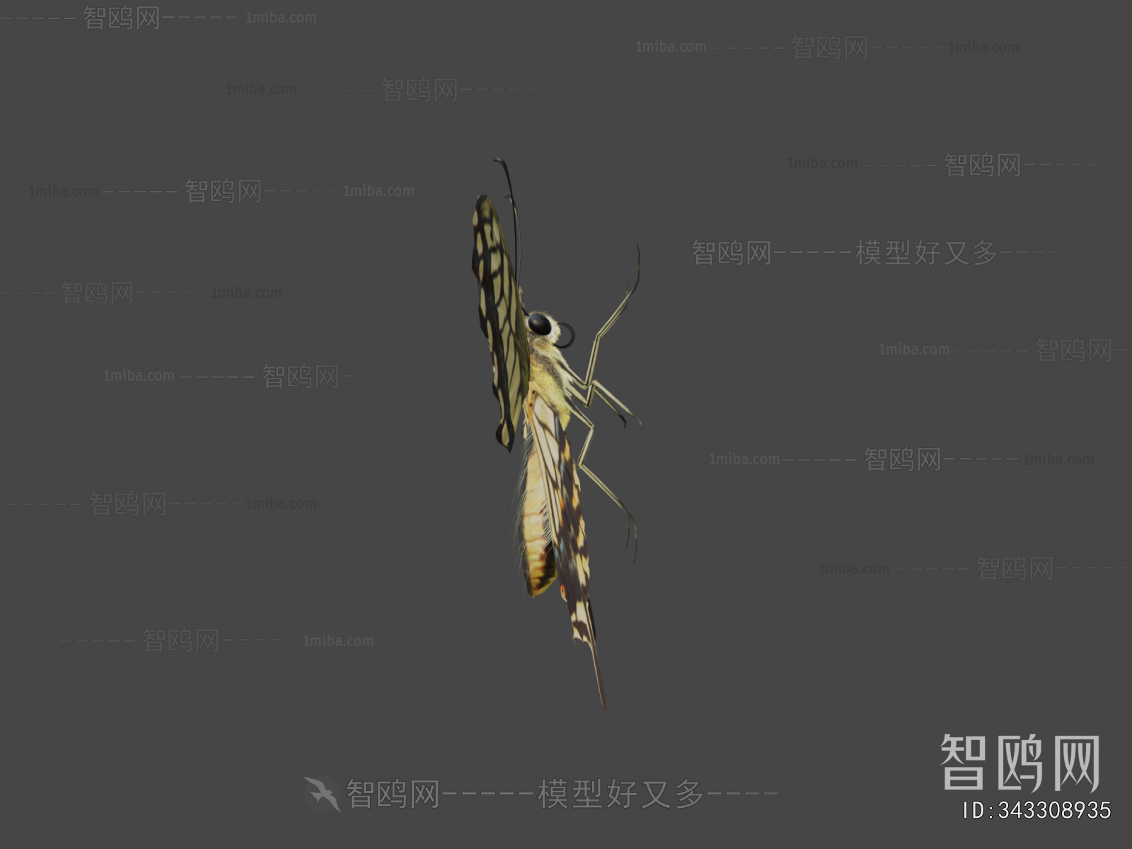 Modern Flying Animals