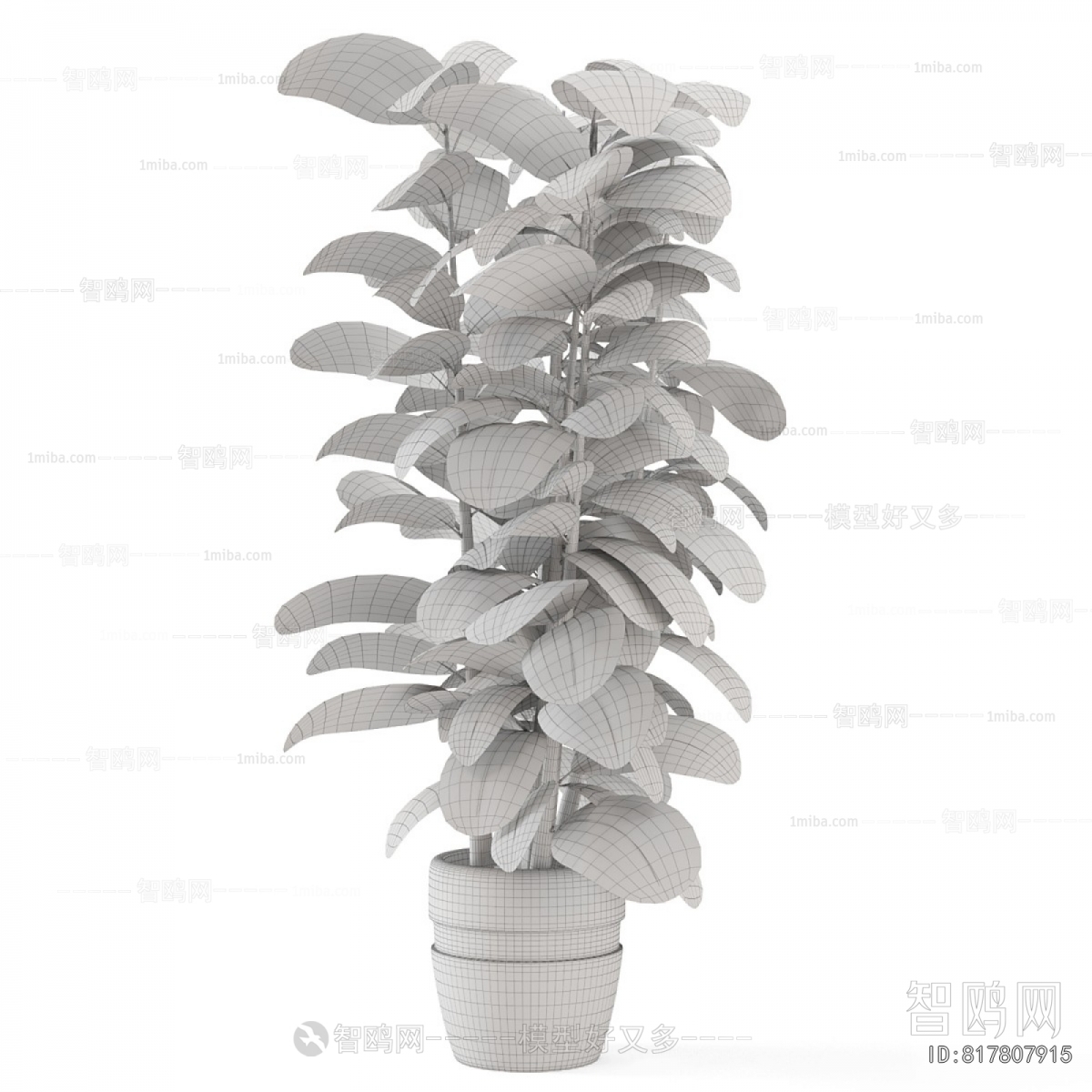 Modern Ground Green Plant Potted Plants