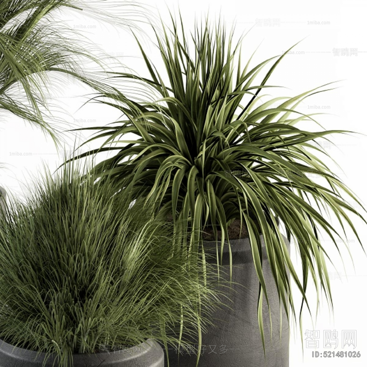 Modern Ground Green Plant Potted Plants