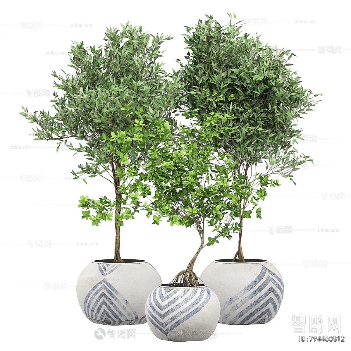 Modern Ground Green Plant Potted Plants
