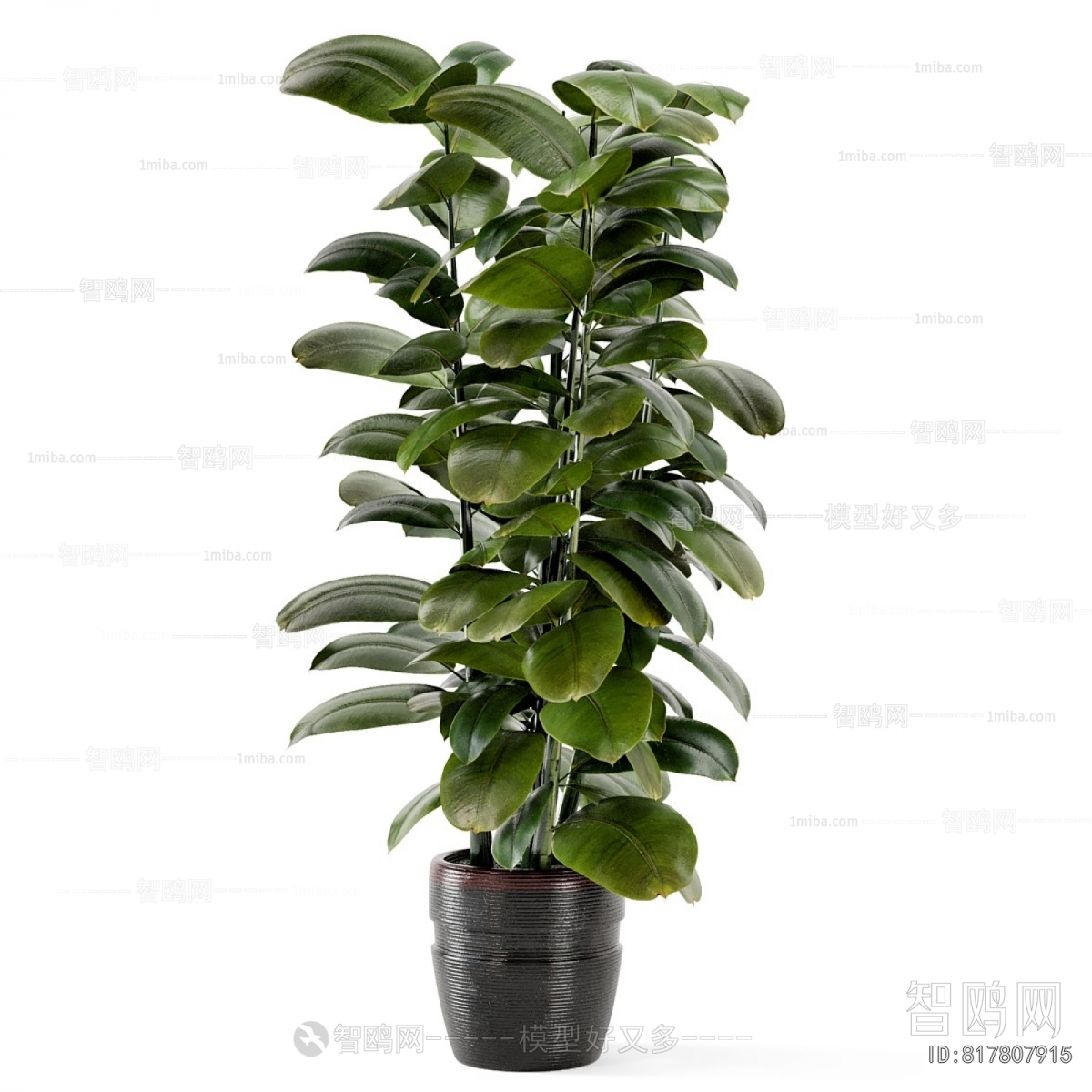 Modern Ground Green Plant Potted Plants