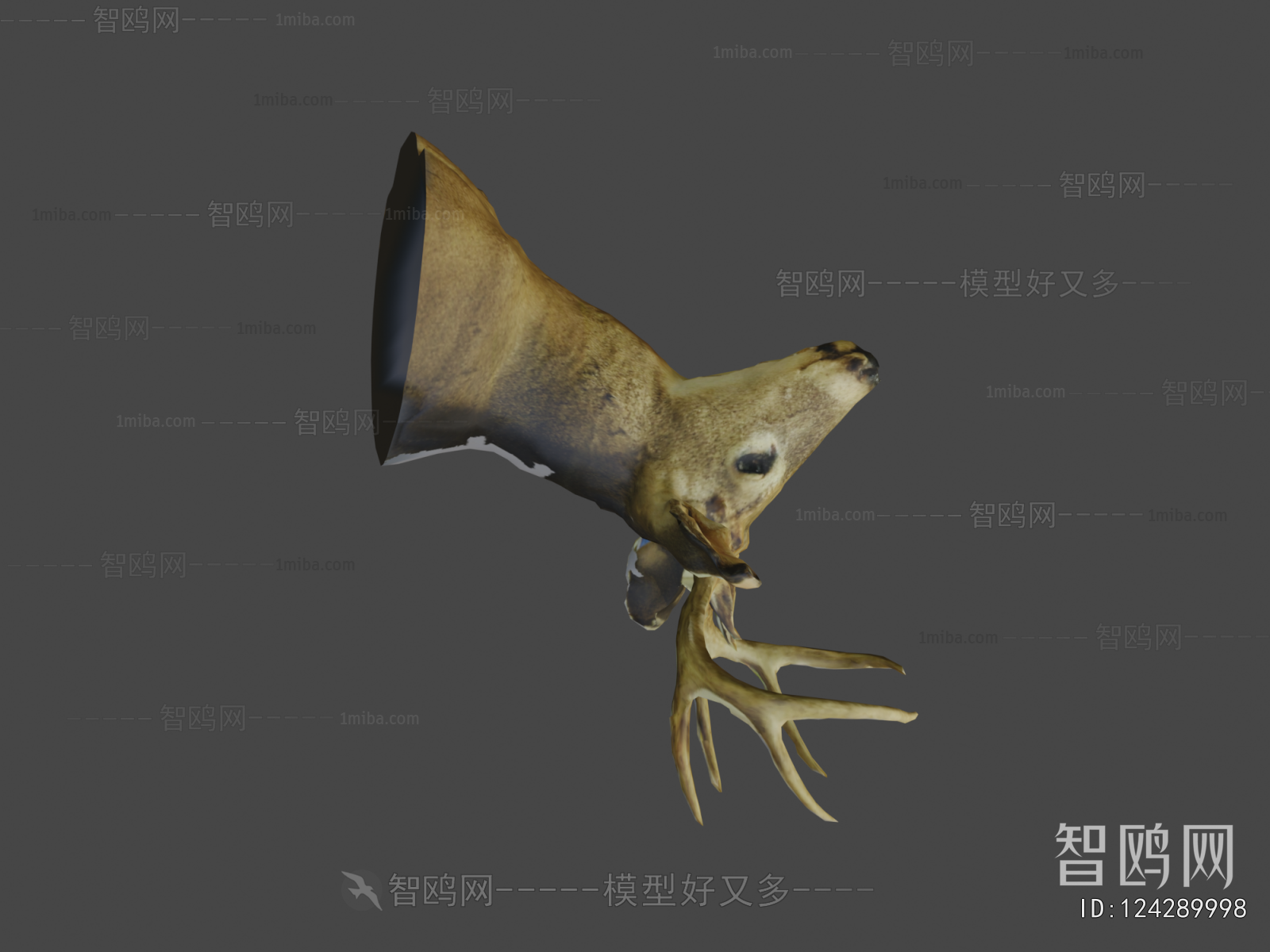 Modern Animal