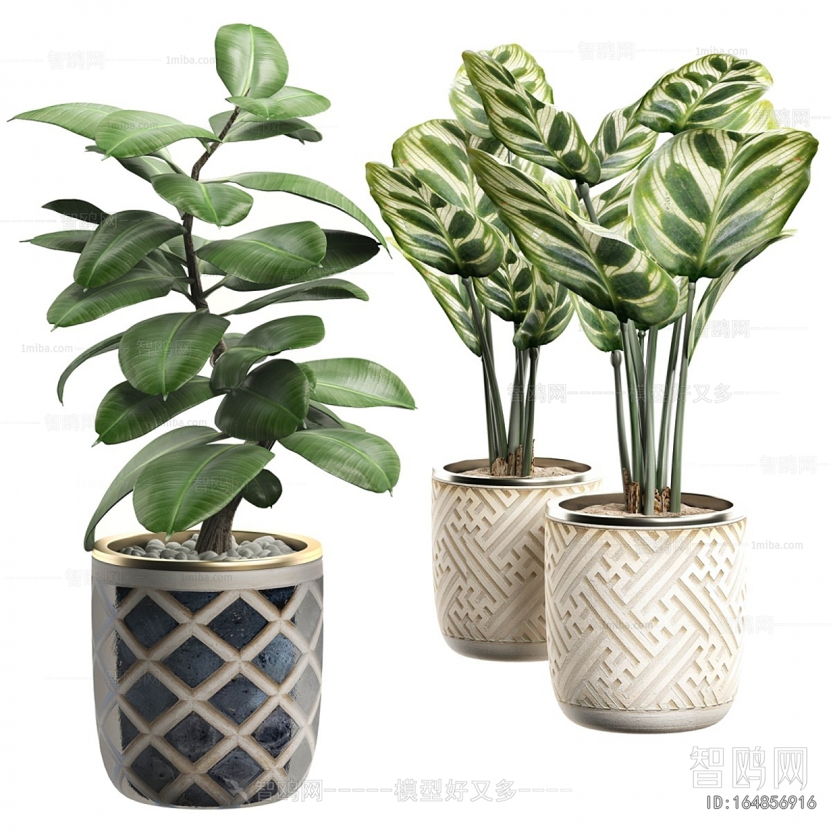 Modern Ground Green Plant Potted Plants