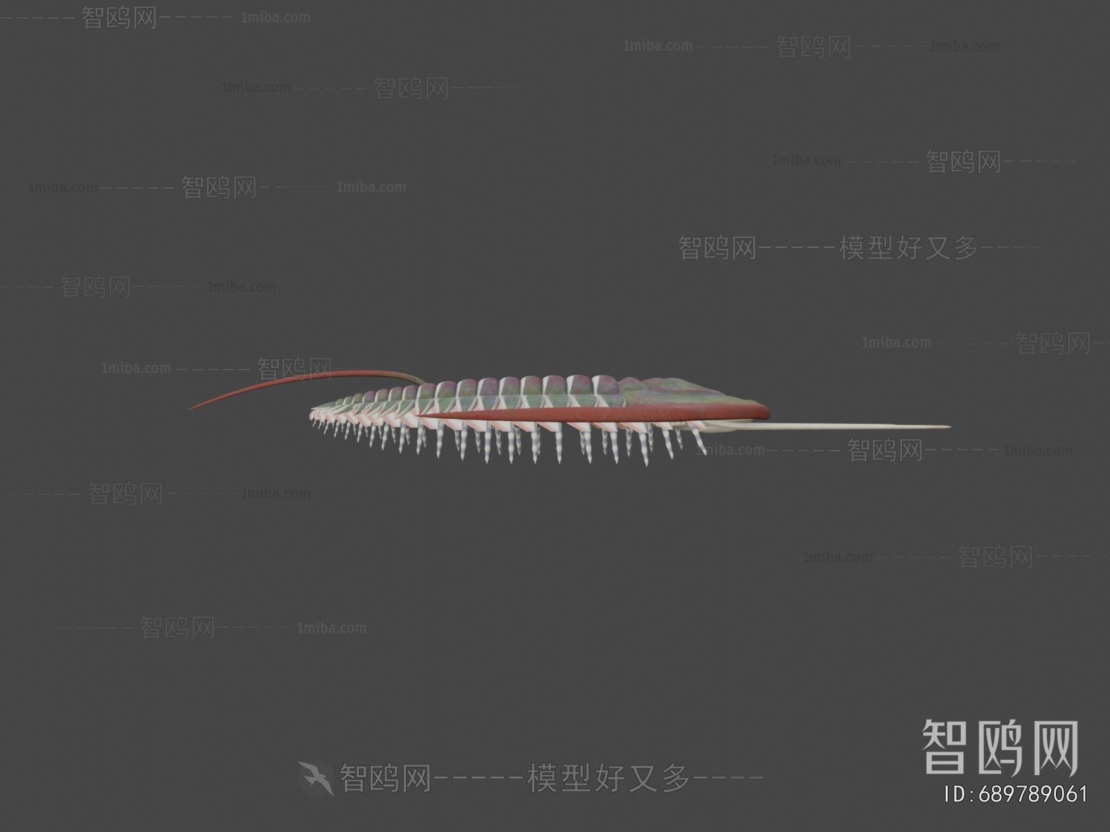 Modern Aquatic Animals