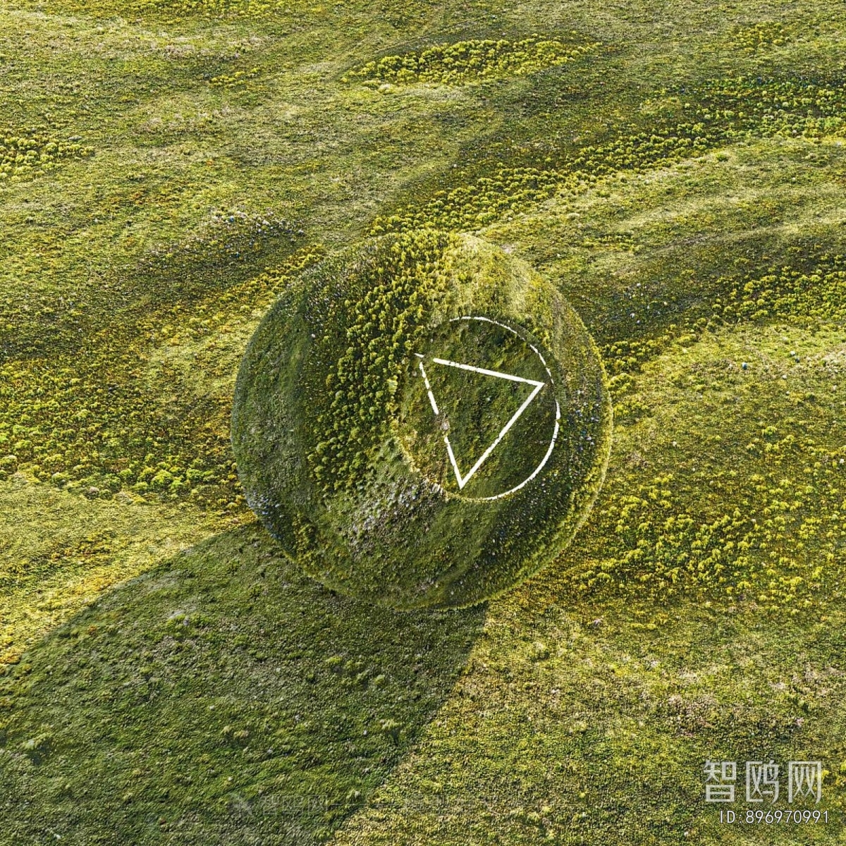 Modern Flowers And Grass