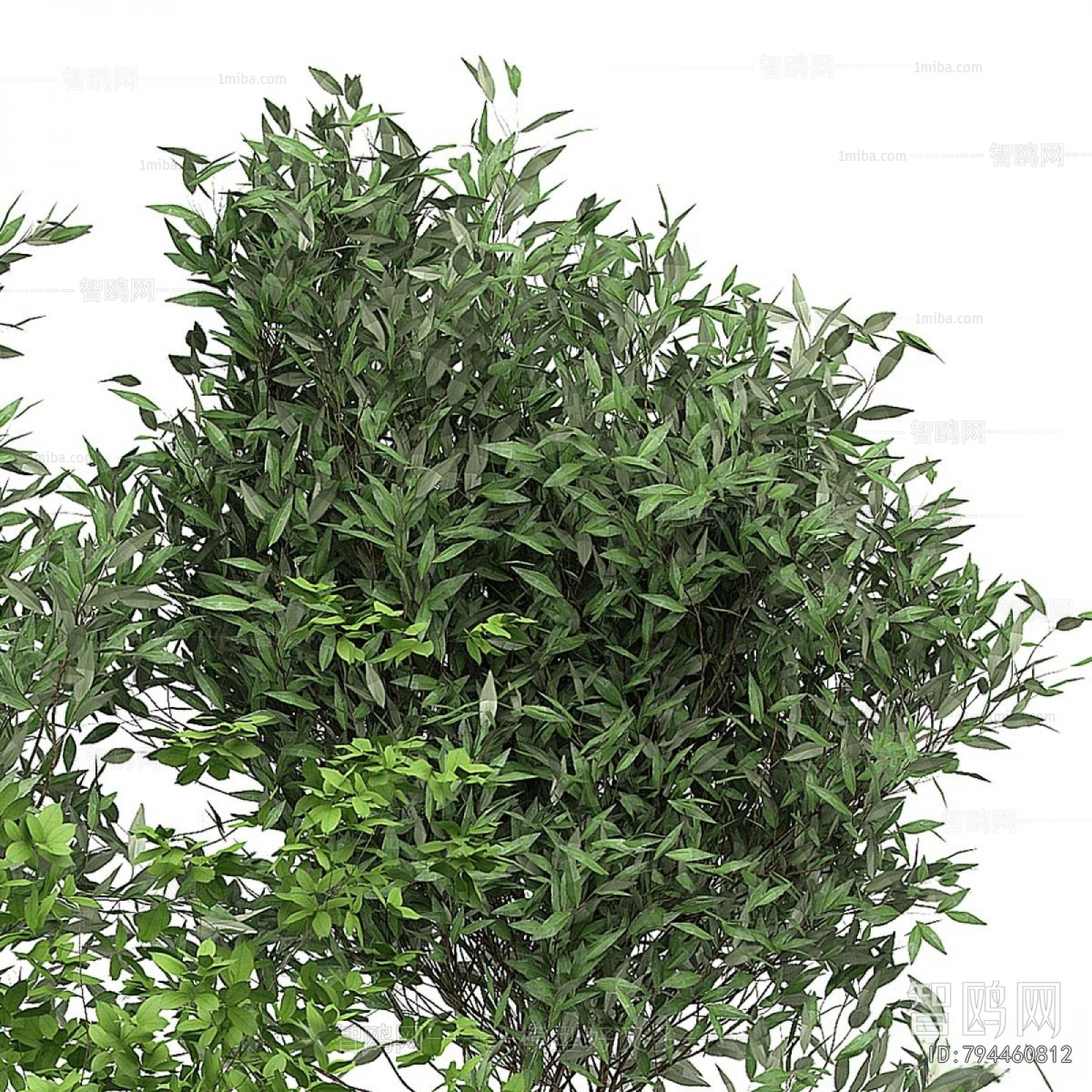 Modern Ground Green Plant Potted Plants