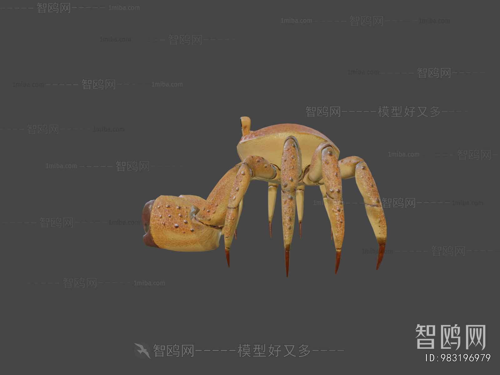 Modern Aquatic Animals