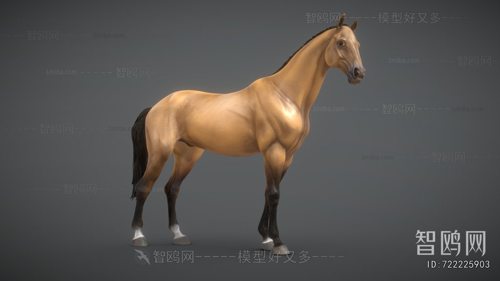 Modern Animal Horse