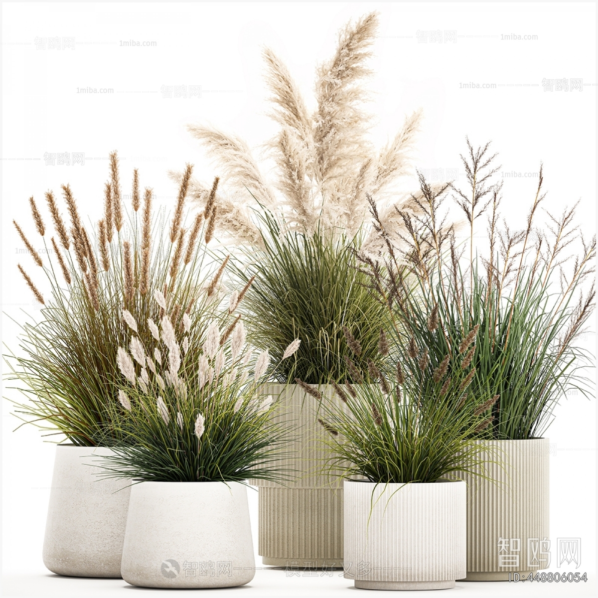 Modern Potted Green Plant