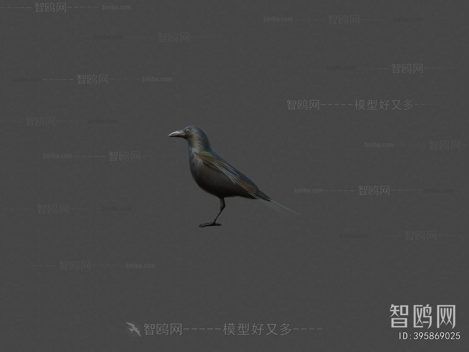 Modern Flying Animals