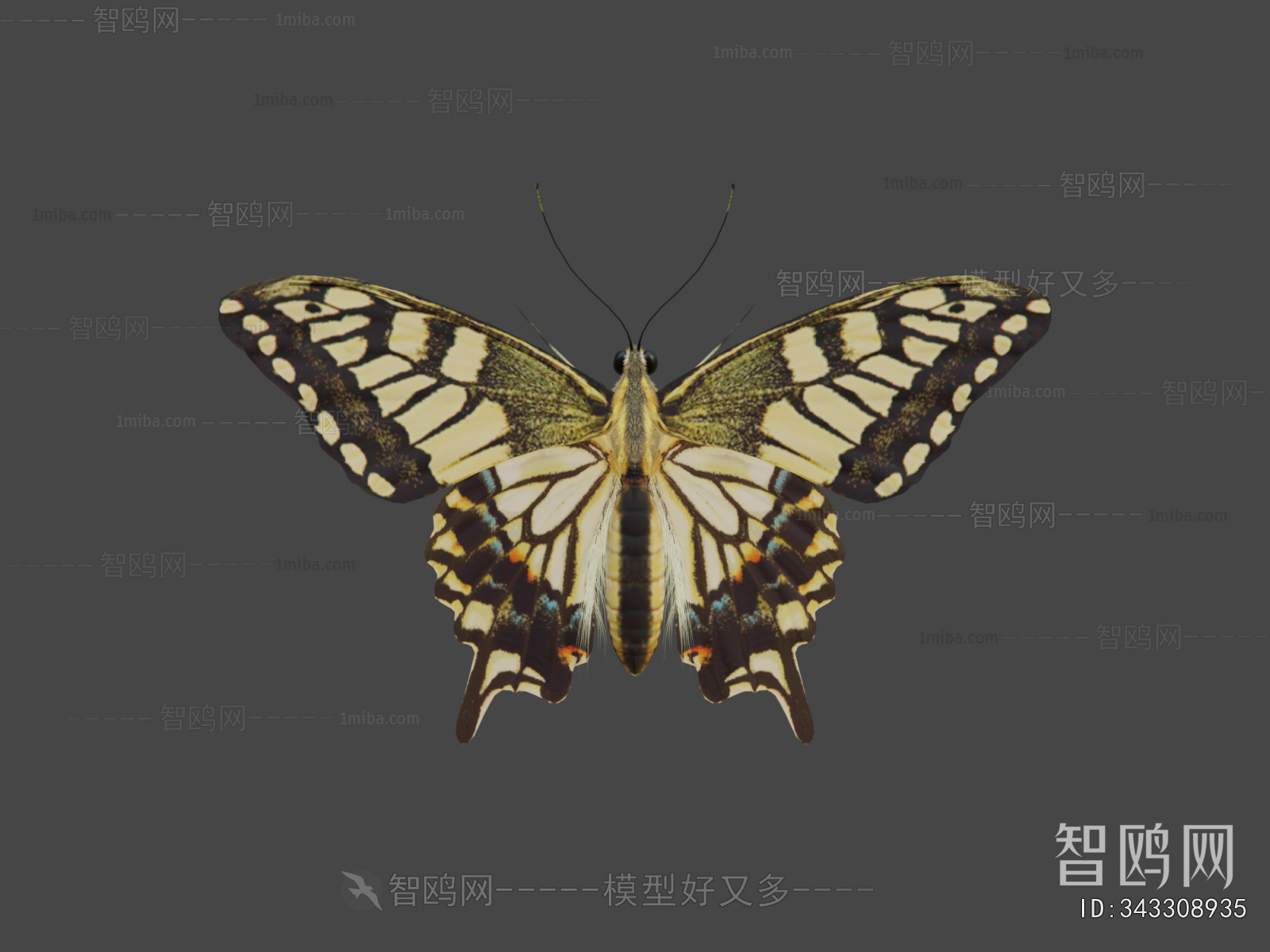 Modern Flying Animals