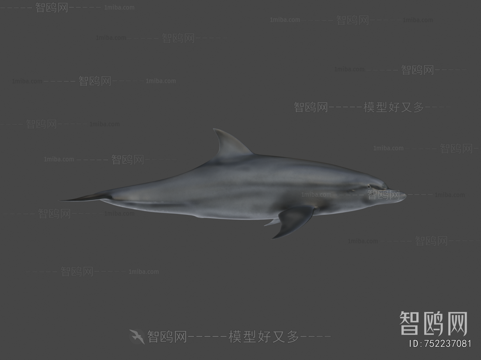 Modern Aquatic Animals