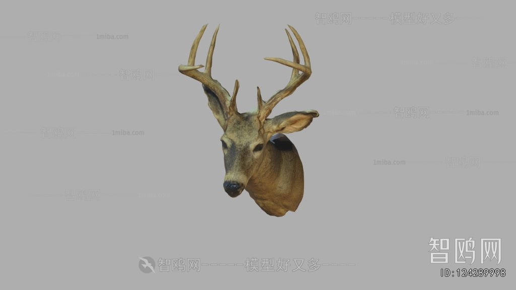 Modern Animal
