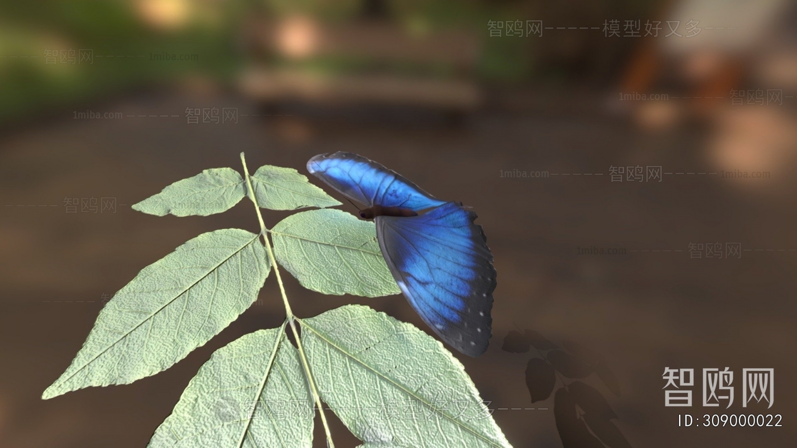 Modern Flying Animals