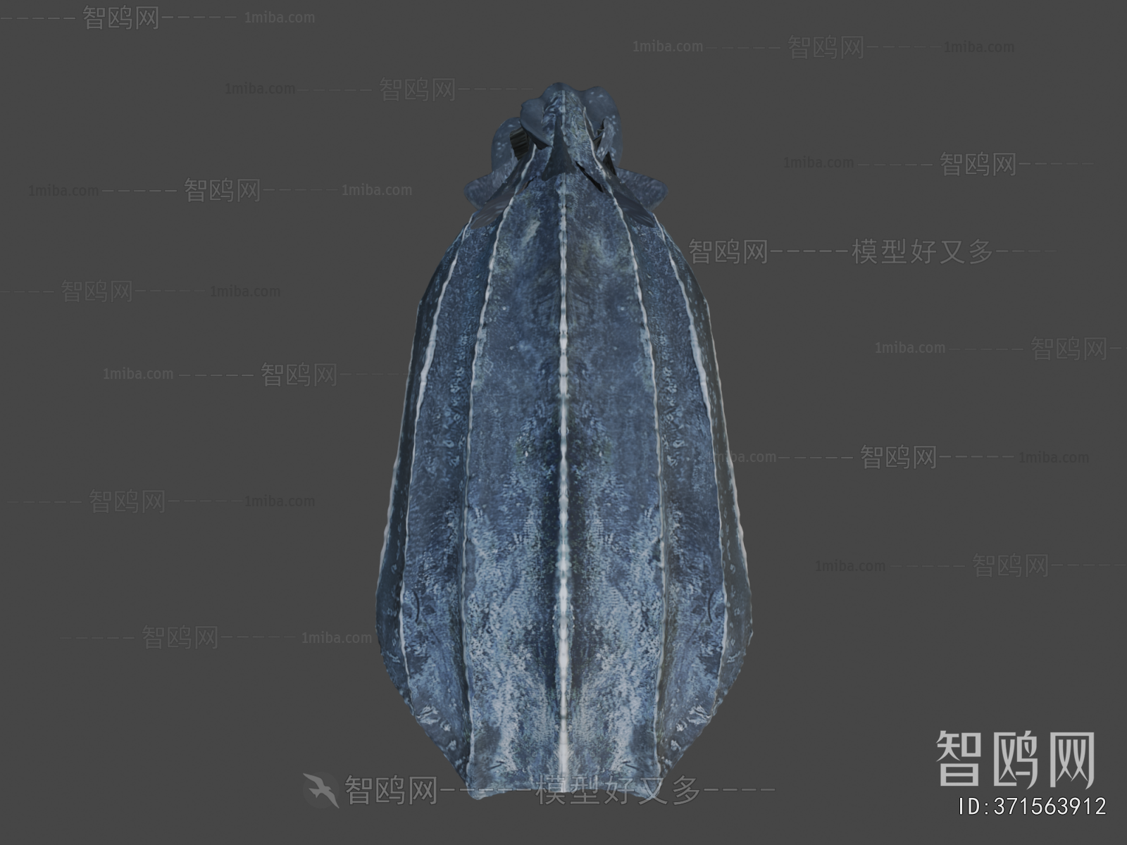 Modern Aquatic Animals