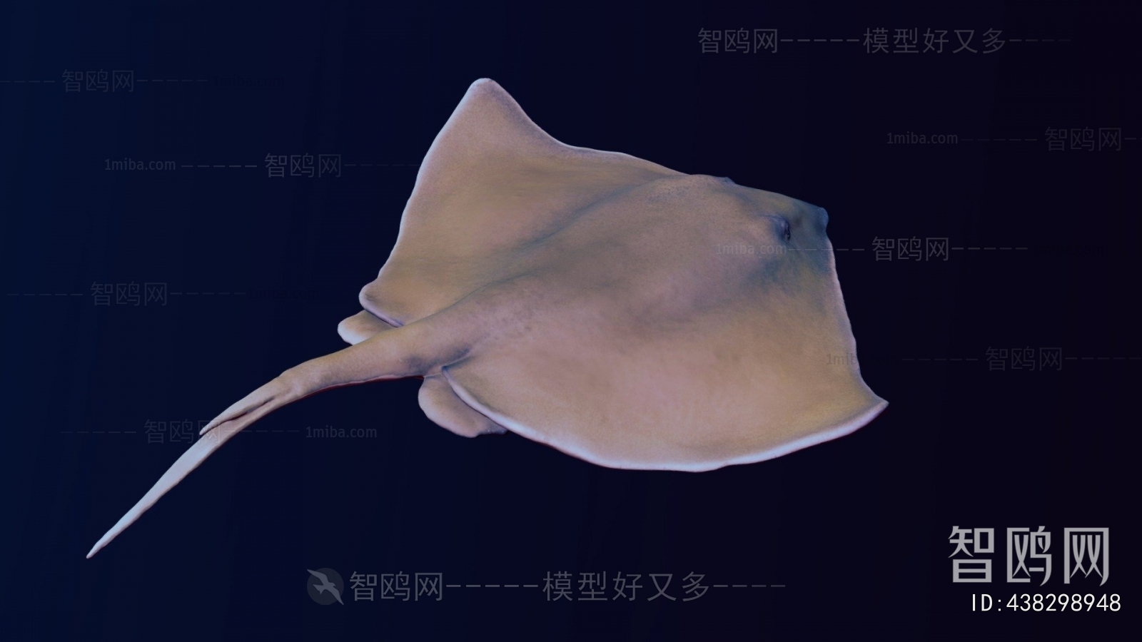 Modern Aquatic Animals