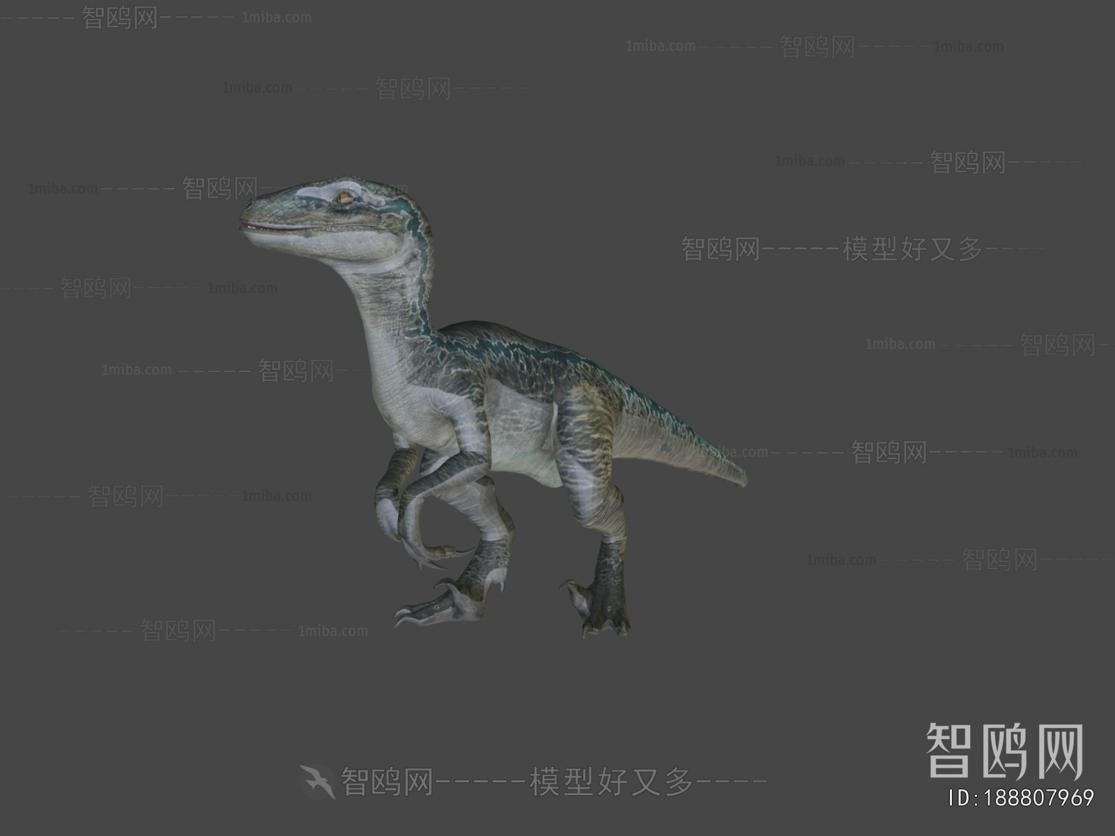 Modern Other Animals