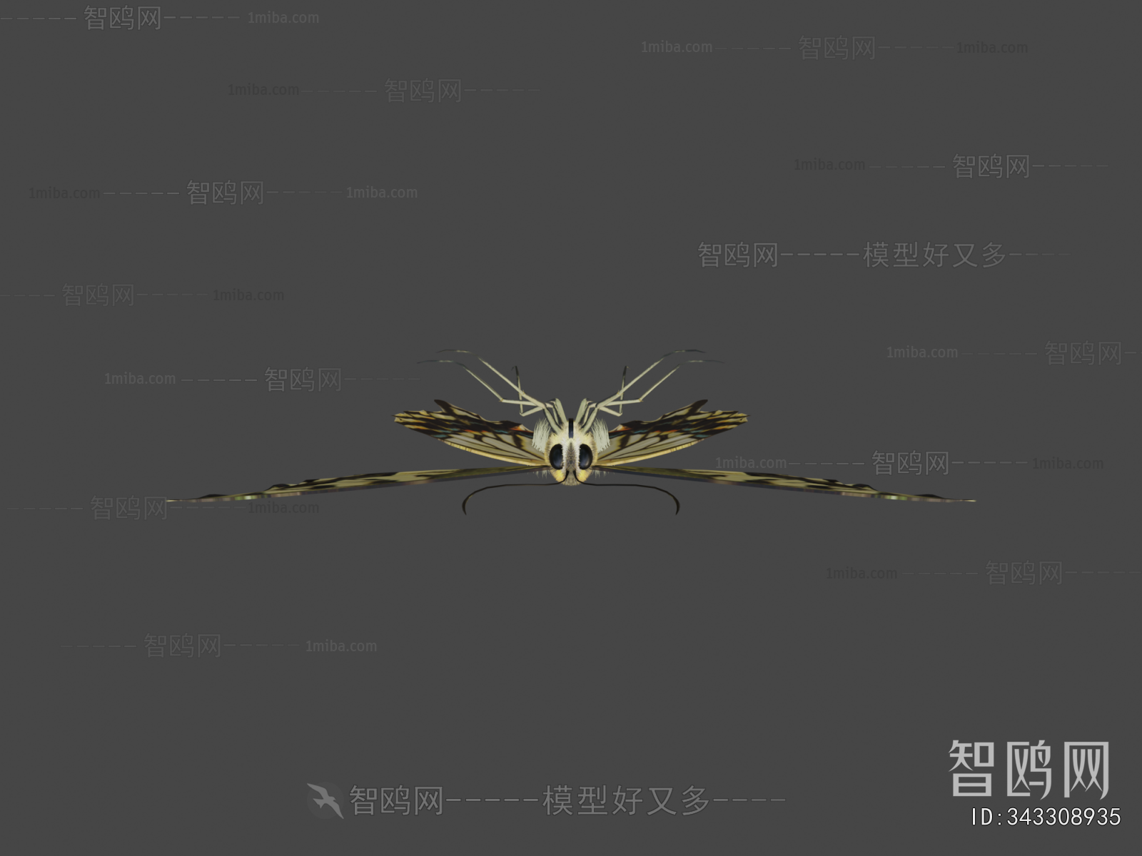 Modern Flying Animals