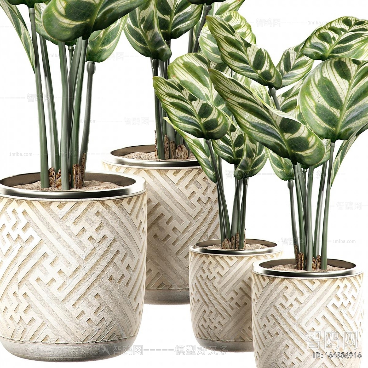 Modern Ground Green Plant Potted Plants