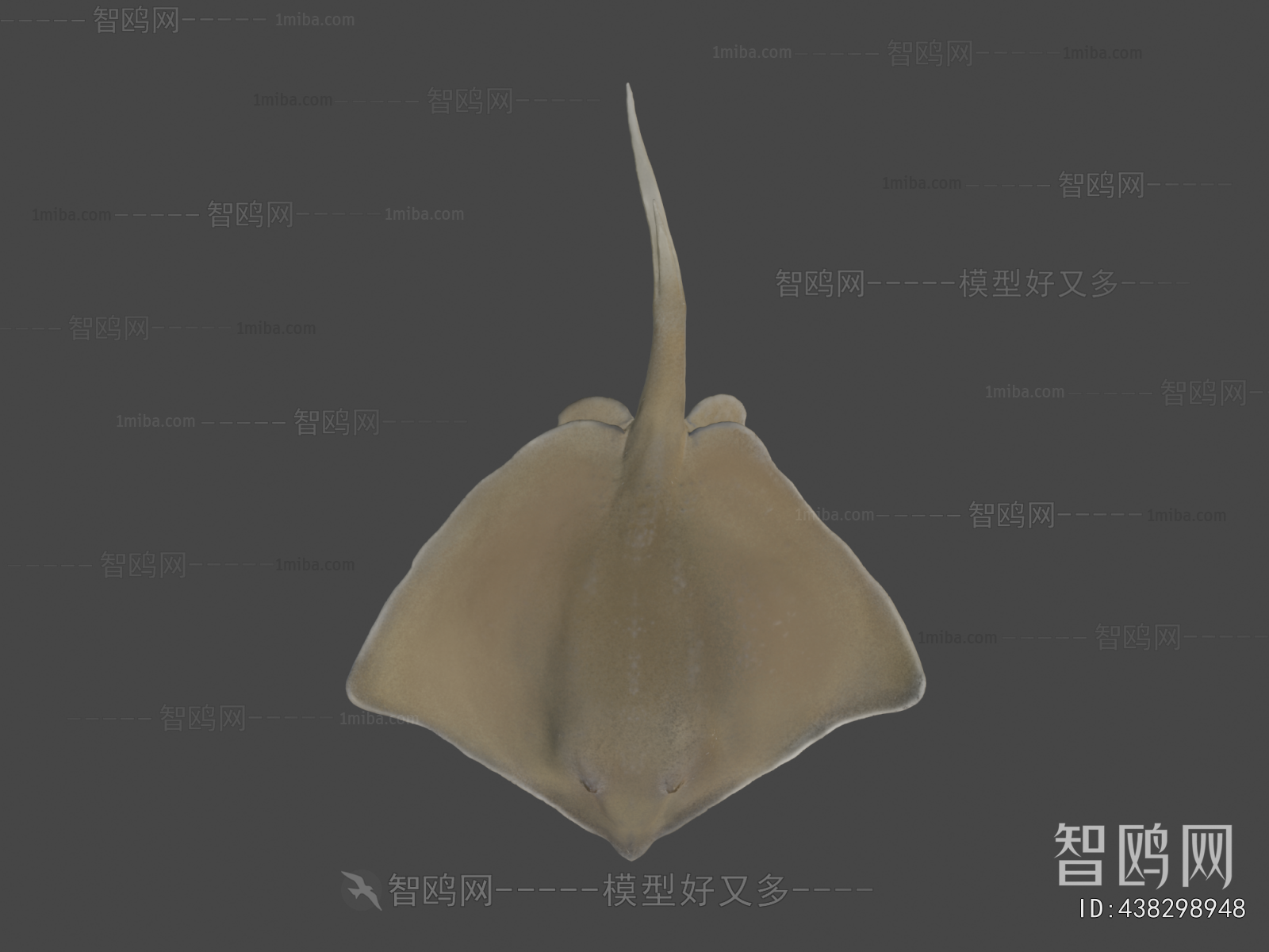 Modern Aquatic Animals