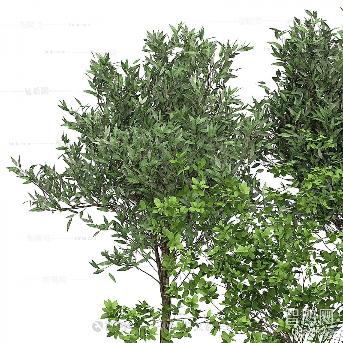 Modern Ground Green Plant Potted Plants