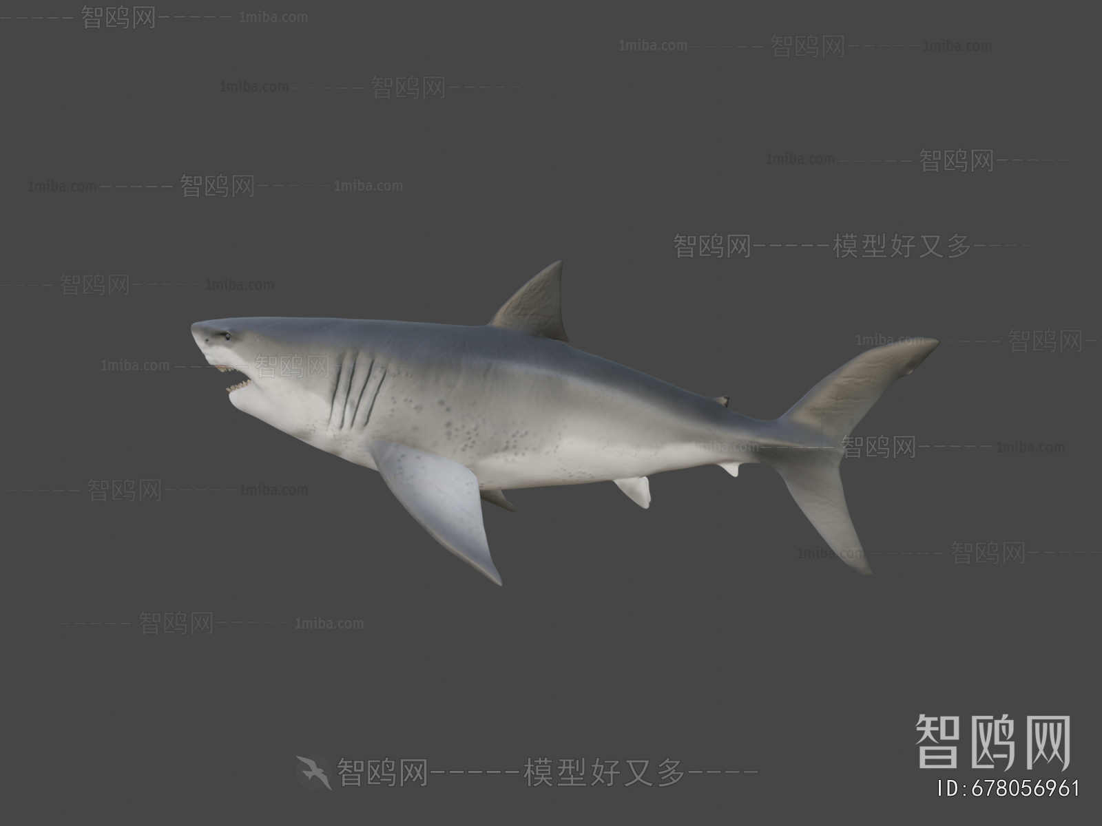 Modern Aquatic Animals